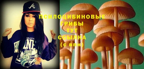 стафф Кинешма