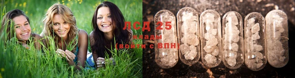 стафф Кинешма